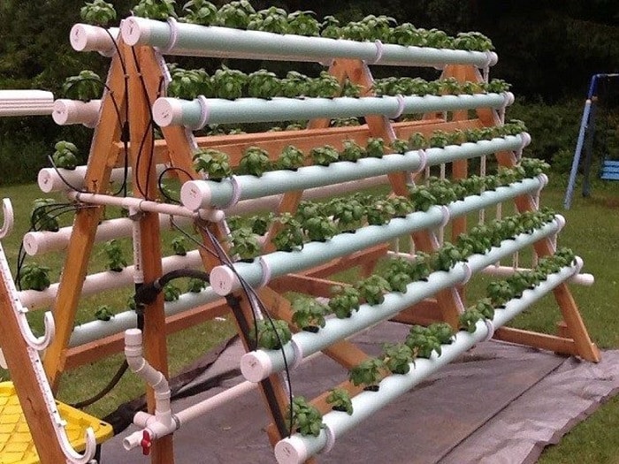 10 cách sử dụng ống nhựa PVC để làm vườn "chuẩn không cần chỉnh"