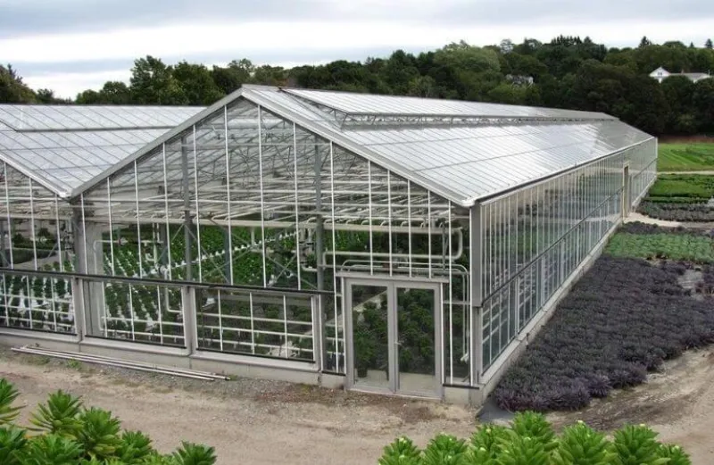 Tôn nhựa trong suốt Polycarbonate ứng dụng cho nhà kính công nghiệp