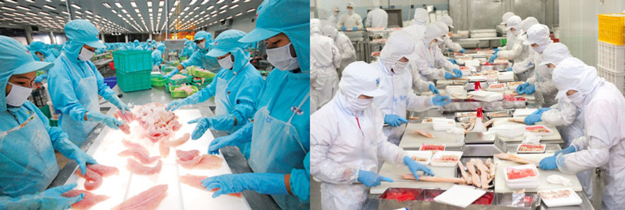 Ngành thực phẩm – dược phẩm