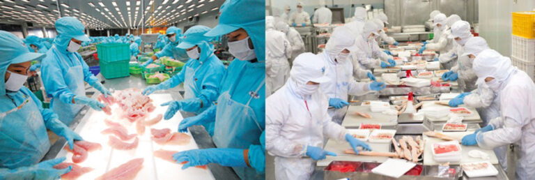 Trong nhà máy chế biến thực phẩm và dược phẩm