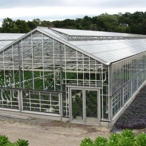 Nhà kính & công trình nông nghiệp công nghệ cao