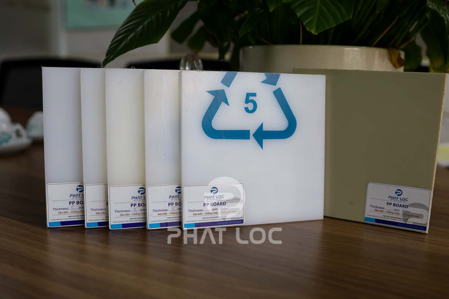 [Cập Nhật 2/2026] Giá PP 10mm Mới Nhất – Nhận Gia Công Theo Yêu Cầu, Tư ...