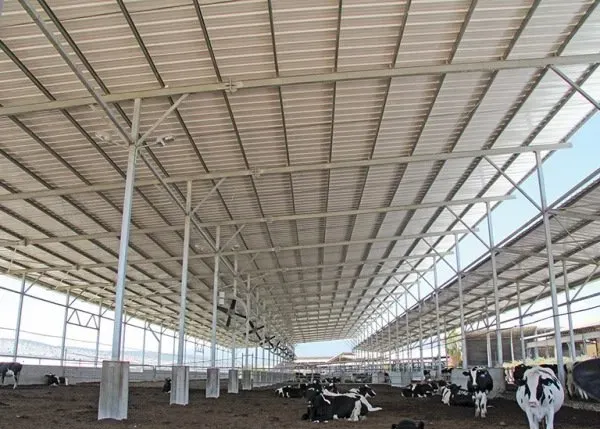 Tôn Nhựa Trắng 2026: Loại Công Trình Nào Nên Sử Dụng? 6 Công Ty Tnhh Vật Liệu Nhiệt Phát Lộc Trang trại