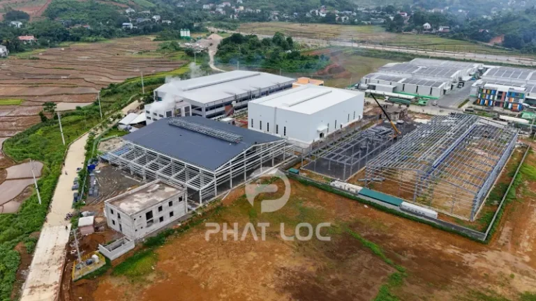 Báo Giá Tôn Nhựa Cà Mau 2026 – Tư Vấn Tận Nơi, Ưu Đãi 30% Công Trình Lớn 3 Công Ty Tnhh Vật Liệu Nhiệt Phát Lộc Trang Trại – Khu Chăn Nuôi