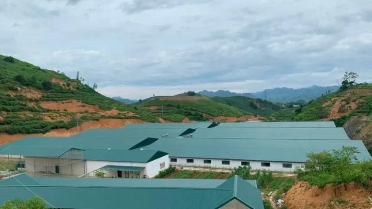 Top 5+ Tôn Chống Rỉ Sét, Chống Ăn Mòn Tốt, Tiết Kiệm Chi Phí 8 Công Ty Tnhh Vật Liệu Nhiệt Phát Lộc Trang trại chăn nuôi